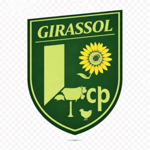 Girassol