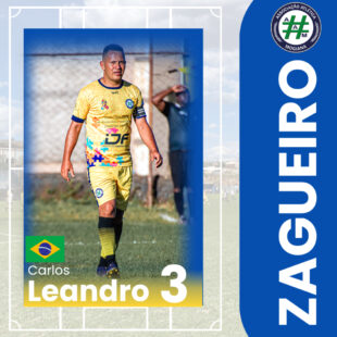 Carlos Leandro Gomes de Souza