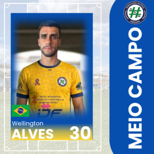 Wellington Luiz Alvez Geraldo