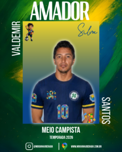 Valdemir dos Santos Silva